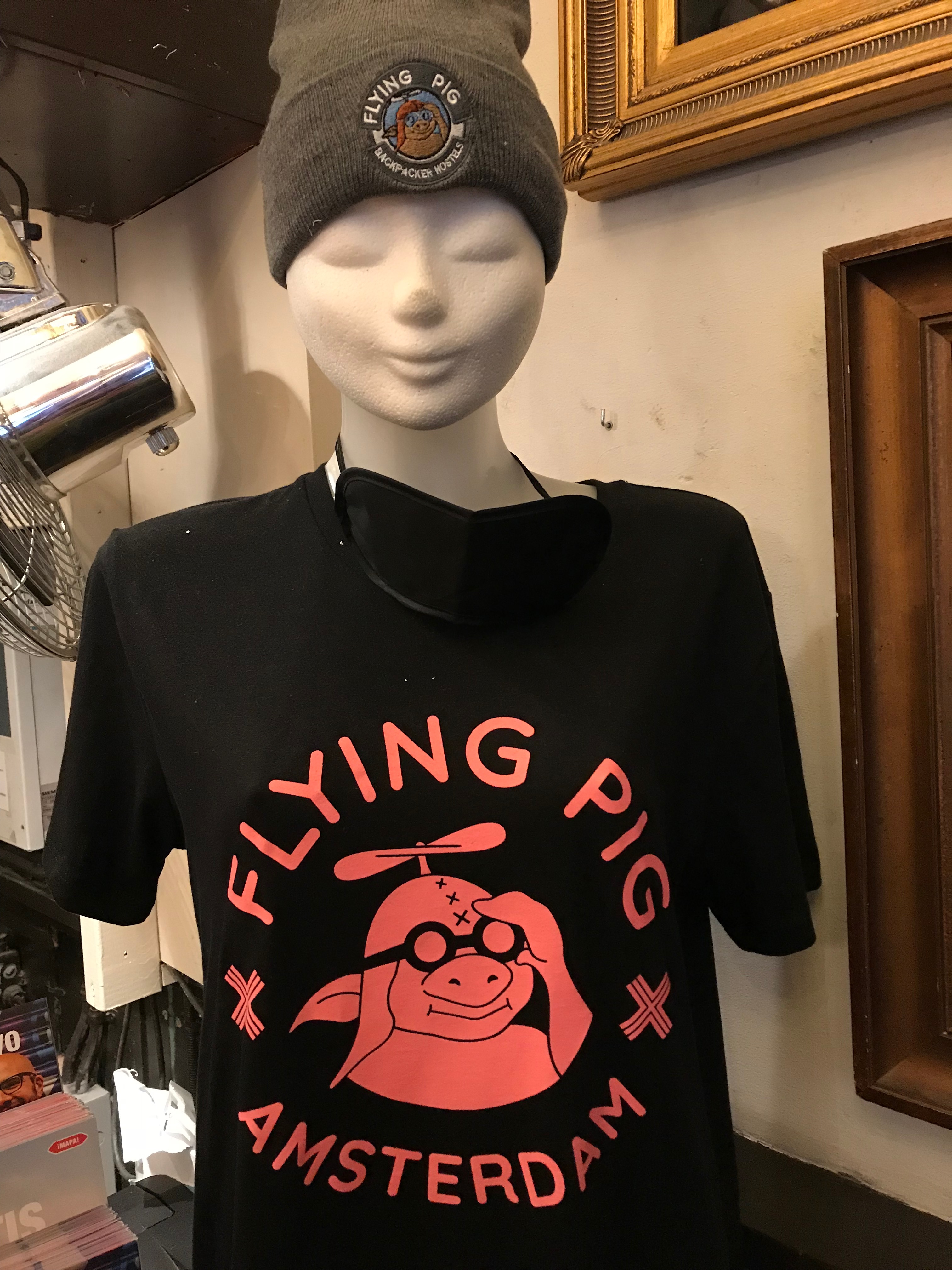 The Flying Pig Downtown Hostel