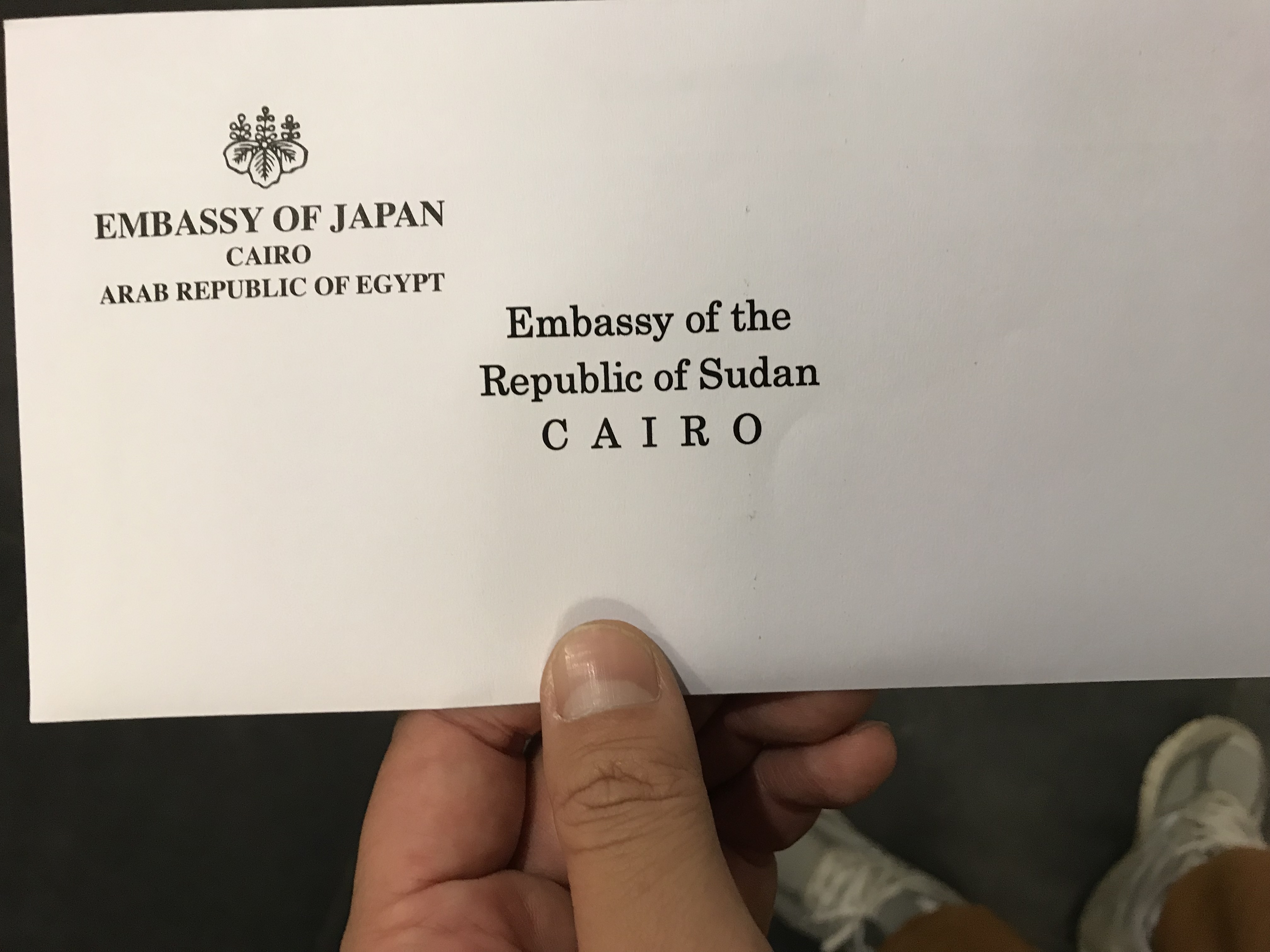 カイロ日本人大使館
