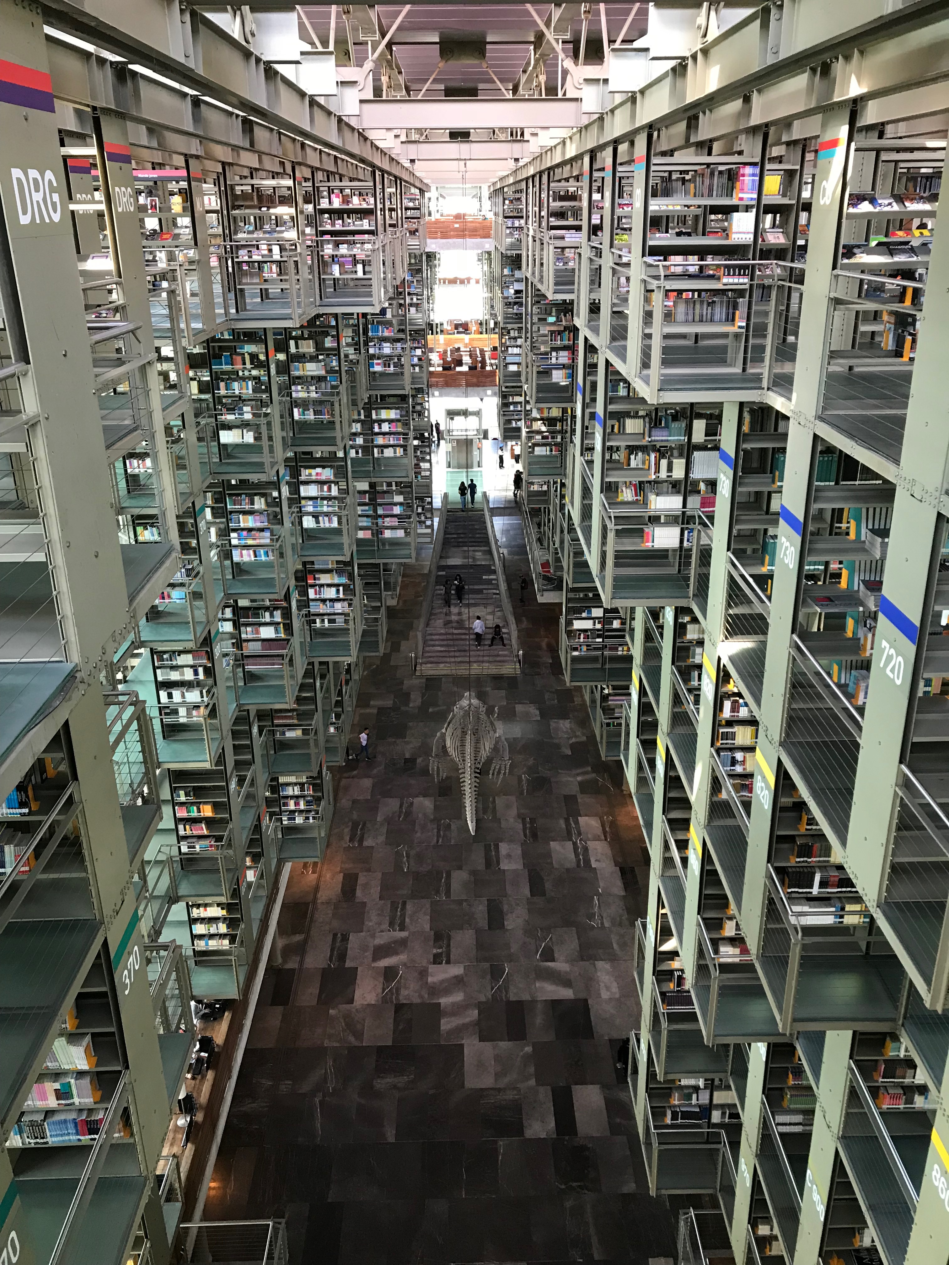 ヴァスコンセロス図書館