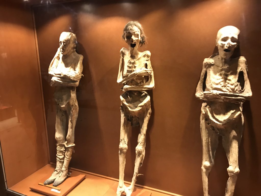 Museum of the Mummies of Guanajuato ミイラ博物館