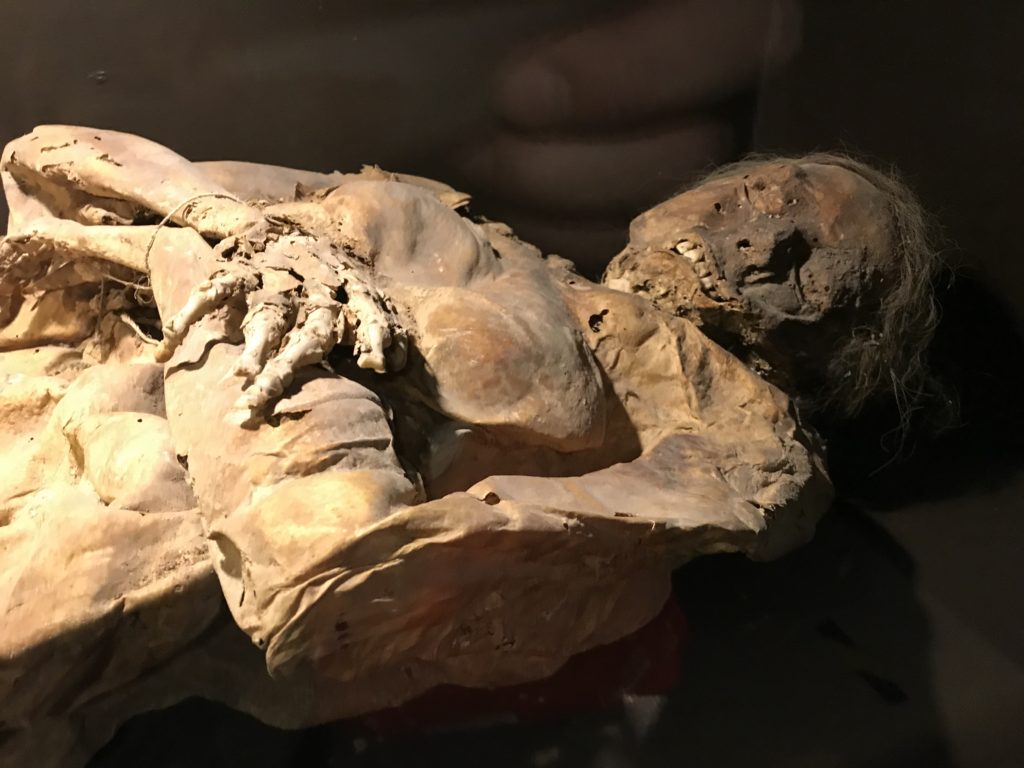 Museum of the Mummies of Guanajuato ミイラ博物館