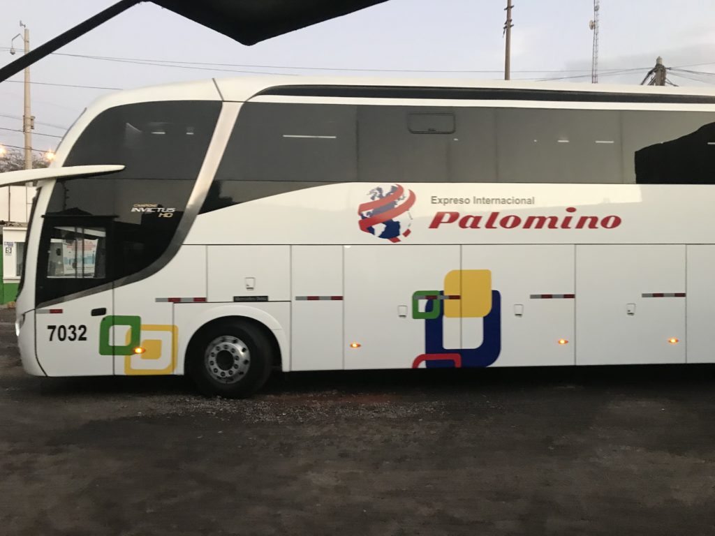 Palomino Bus