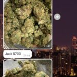 メキシコでは大麻購入時にデリバリー利用はもう当たり前