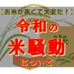 ニトリからもらった米を中国に送ってた国会議員の名前を晒すわ