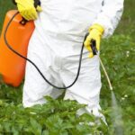 日本の食品、お茶、フルーツなどほとんど全部ダメ