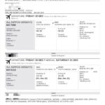 2026年版、10ドル捨てチケット航空券の作り方を説明