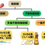毎日使う “油” の勉強しときましょう