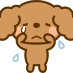 またまた反映されてないけど更新してます！