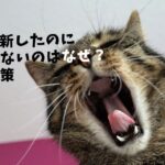 ブログ村に反映されてないけど更新してます！