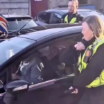 日本の警察も国民も不良外国人にはこれやっていこうよ