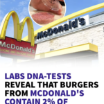 あ、、、マクドナルドが
