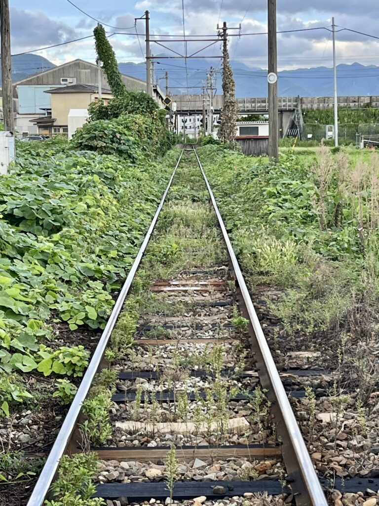 滋賀県彦根市