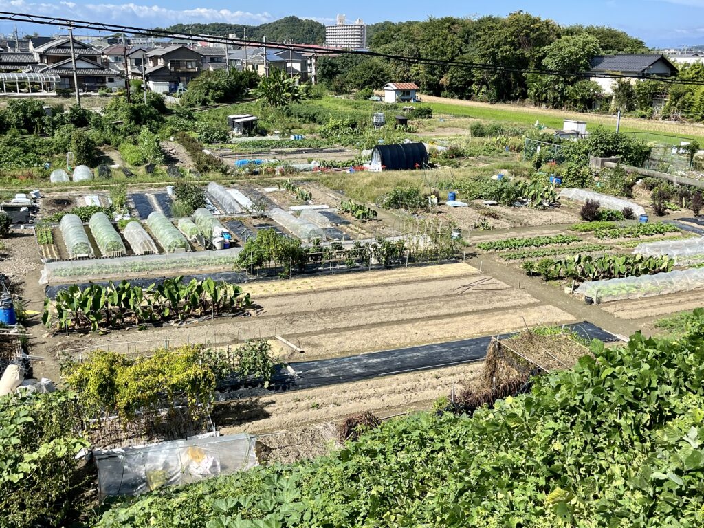 滋賀県彦根市