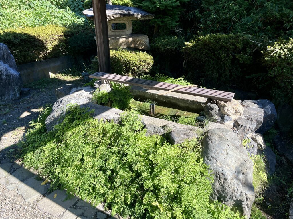滋賀県彦根市