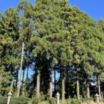 あっという間に10月
