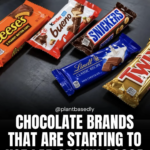 このチョコはもう買うな 工場のラボで作られた本物ではないチョコ